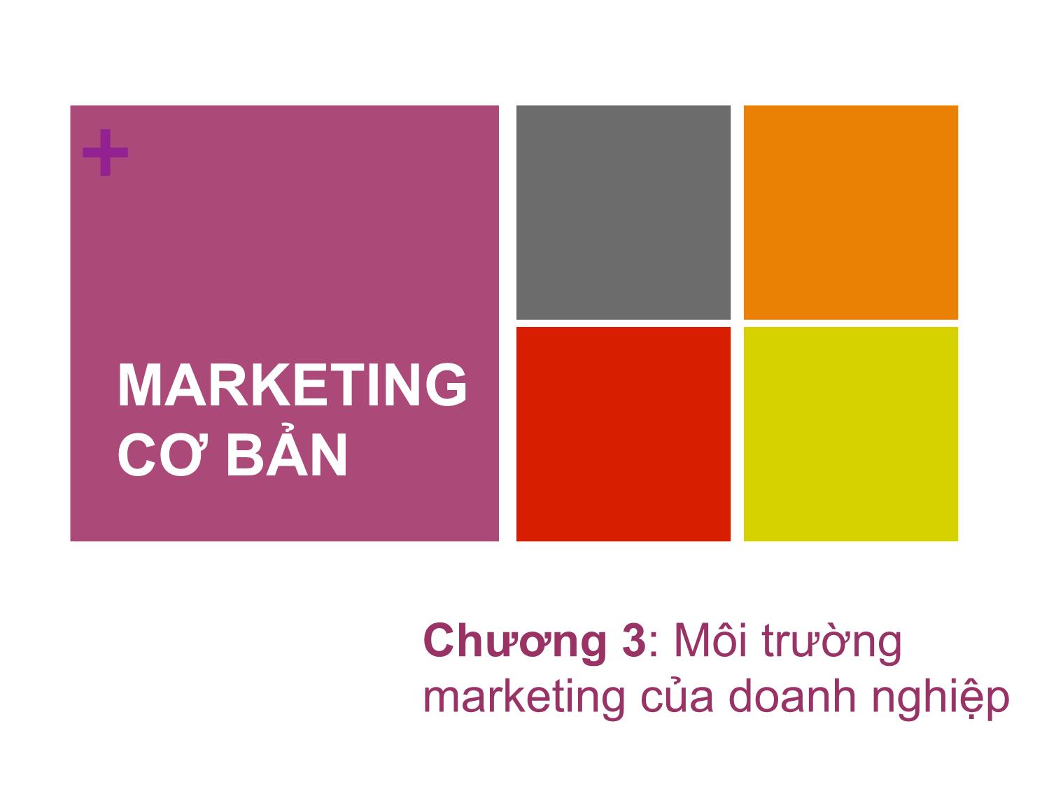 Bài giảng Marketing căn bản - Chương 3: Môi trường marketing của doanh nghiệp - Nguyễn Cẩm Giang trang 2