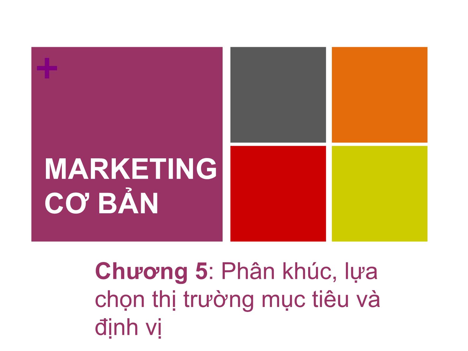 Bài giảng Marketing căn bản - Chương 5: Phân khúc, lựa chọn thị trường mục tiêu và định vị - Nguyễn Cẩm Giang trang 2