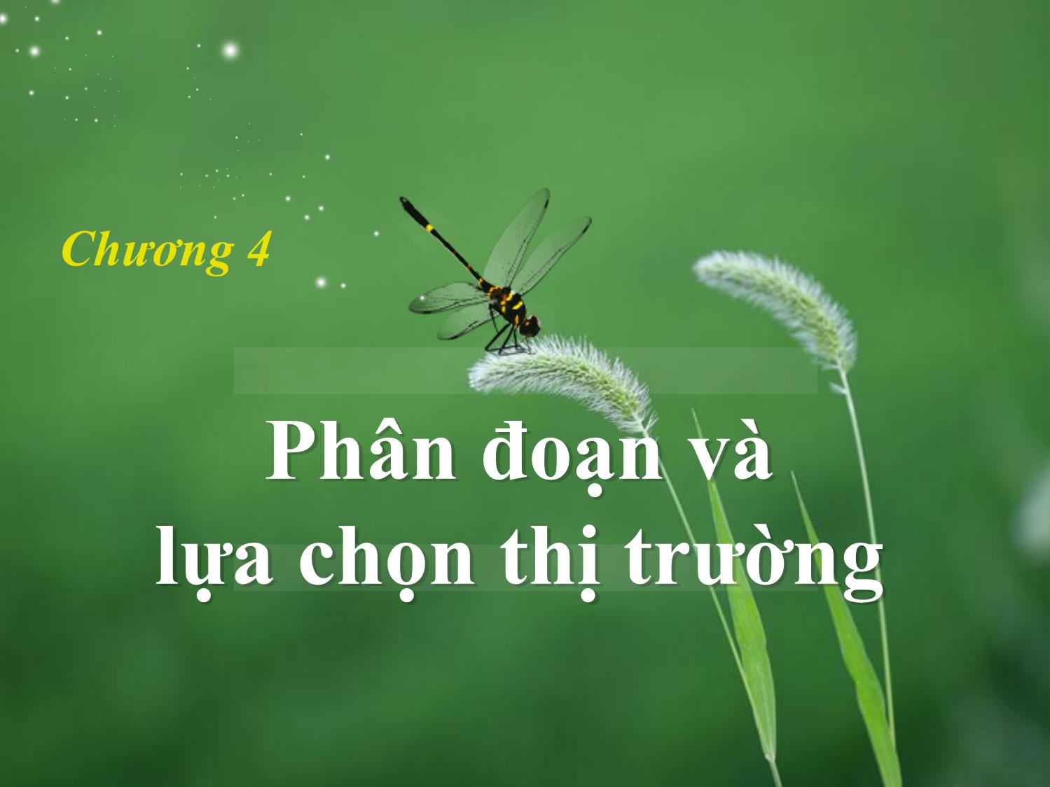 Bài giảng môn Marketing quốc tế - Chương 4: Phân đoạn và lựa chọn thị trường trang 1