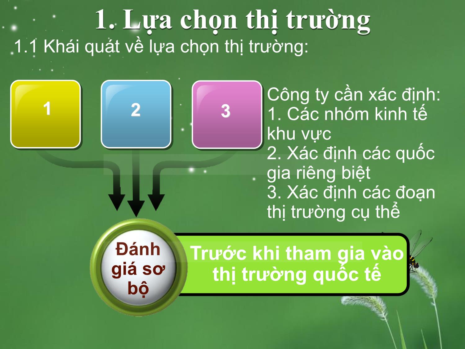 Bài giảng môn Marketing quốc tế - Chương 4: Phân đoạn và lựa chọn thị trường trang 3