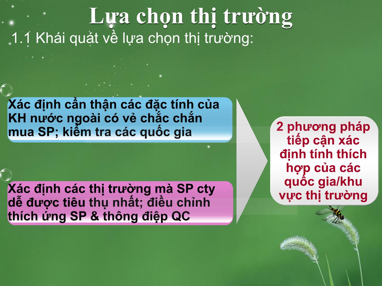 Bài giảng môn Marketing quốc tế - Chương 4: Phân đoạn và lựa chọn thị trường trang 4