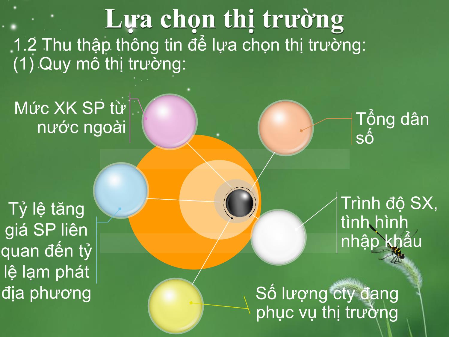 Bài giảng môn Marketing quốc tế - Chương 4: Phân đoạn và lựa chọn thị trường trang 6