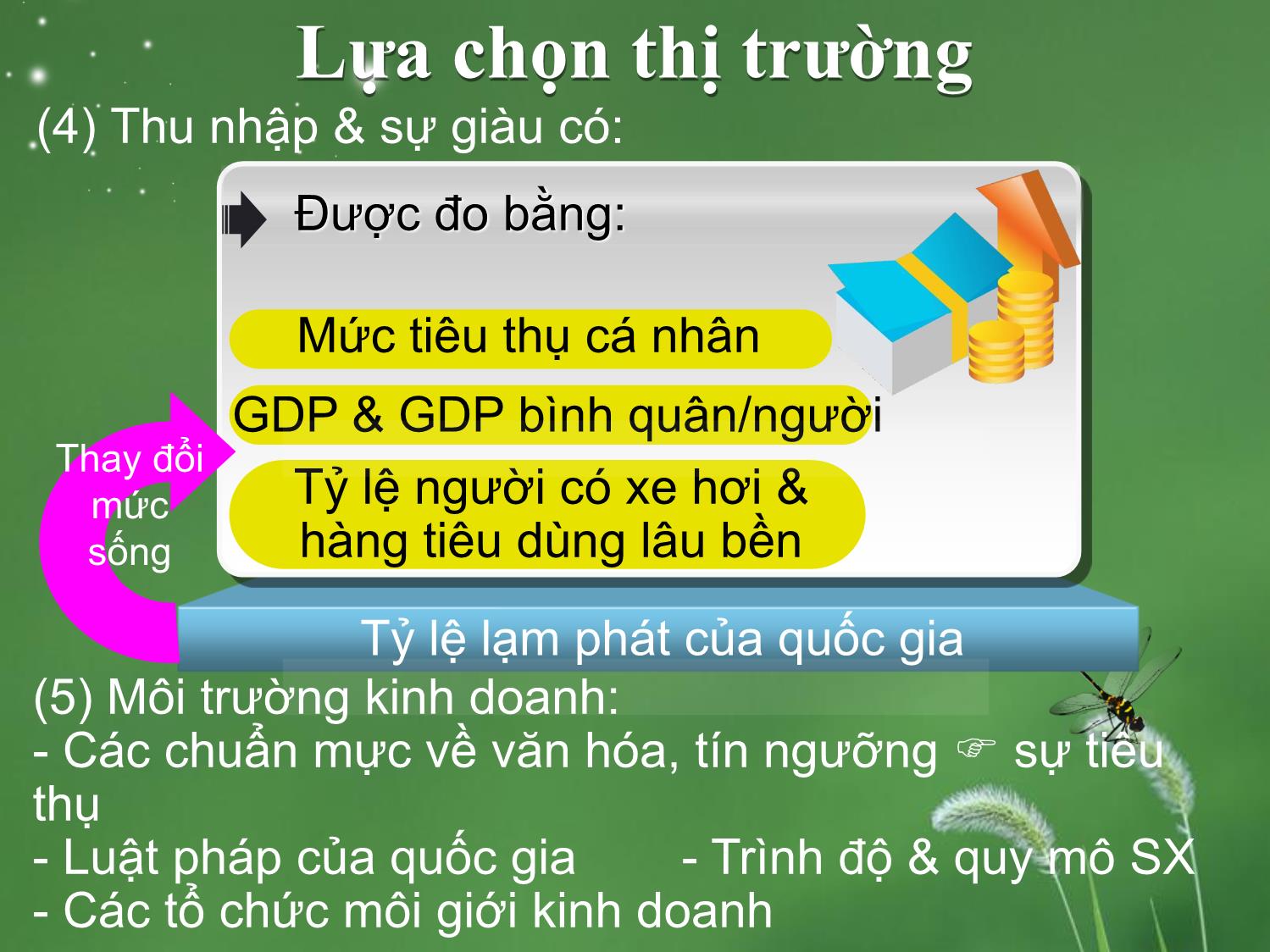 Bài giảng môn Marketing quốc tế - Chương 4: Phân đoạn và lựa chọn thị trường trang 8