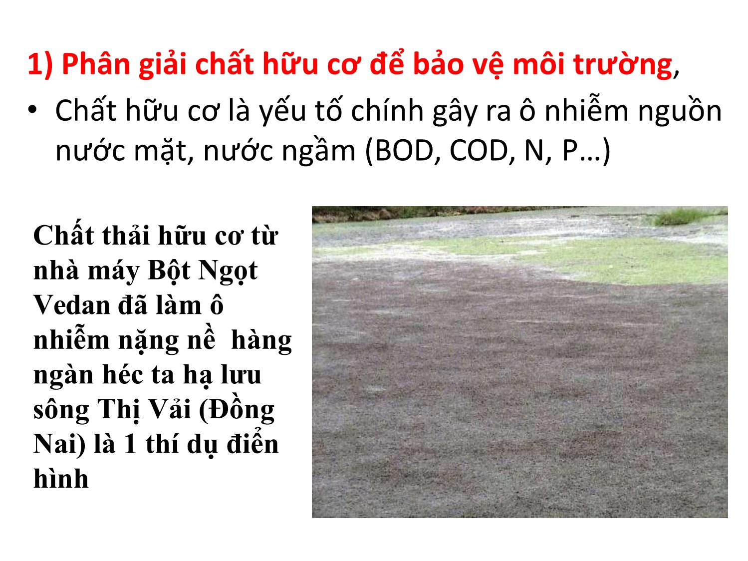 Bài giảng Cơ chế phân giải chất hữu cơ hình thành khí sinh học trong quá trình xử lý chất thải chăn nuôi trang 4