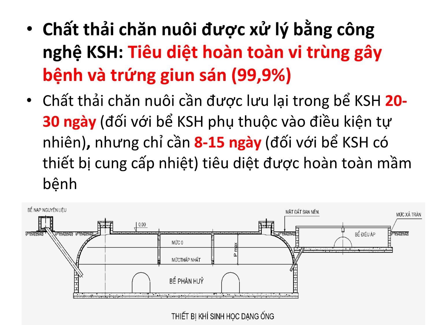 Bài giảng Cơ chế phân giải chất hữu cơ hình thành khí sinh học trong quá trình xử lý chất thải chăn nuôi trang 9