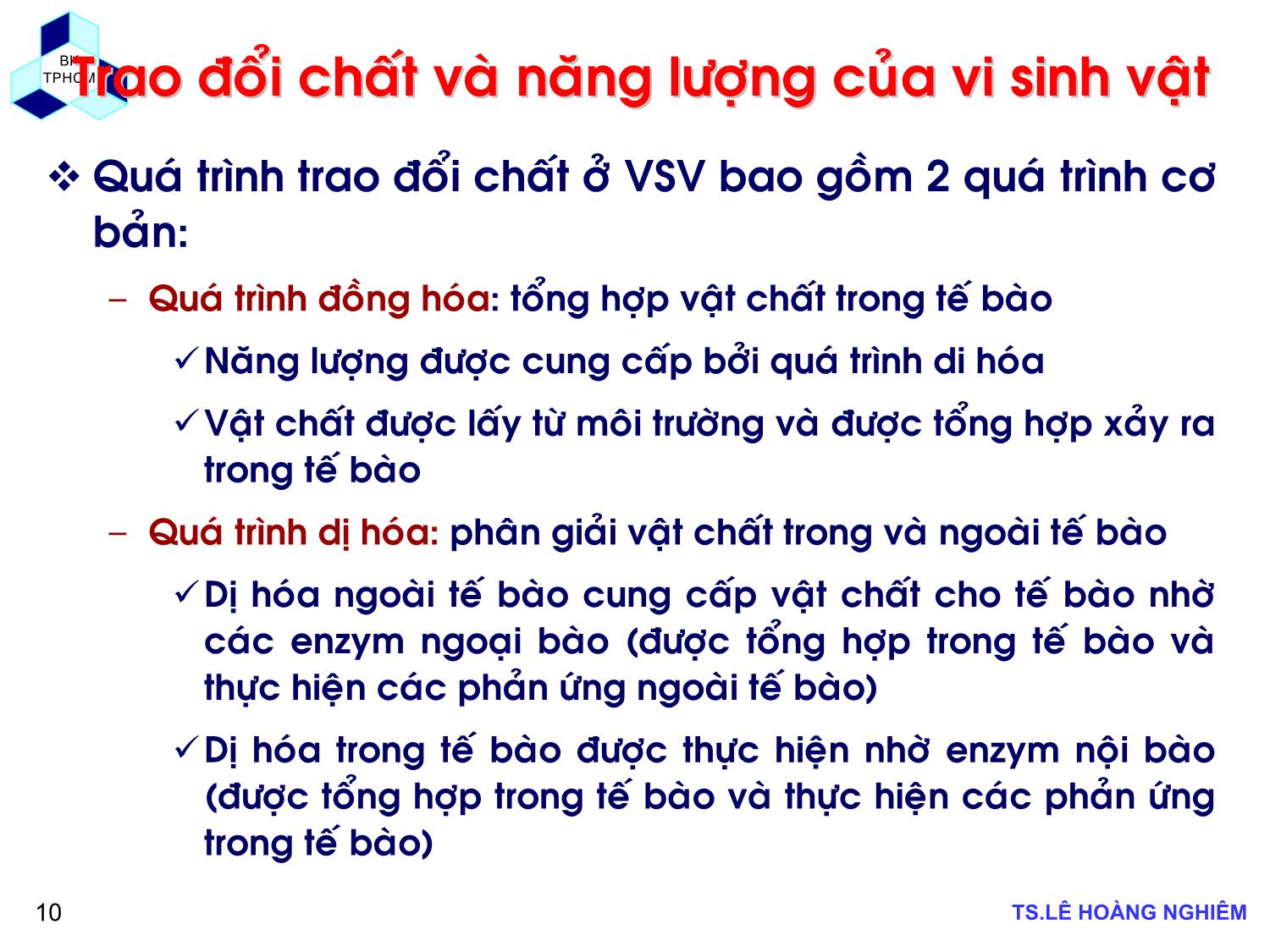 Bài giảng Các quá trình sinh học trong kỹ thuật môi trường - Chương 1: Khái niệm cơ bản về xử lý chất thải bằng phương pháp sinh học - Lê Hoàng Nghiêm trang 10