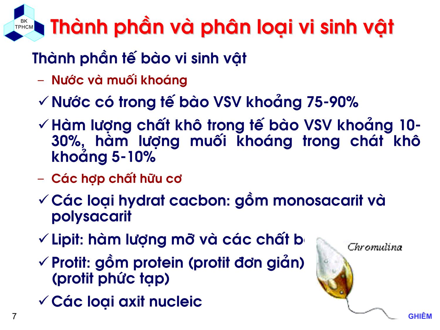 Bài giảng Các quá trình sinh học trong kỹ thuật môi trường - Chương 1: Khái niệm cơ bản về xử lý chất thải bằng phương pháp sinh học - Lê Hoàng Nghiêm trang 7