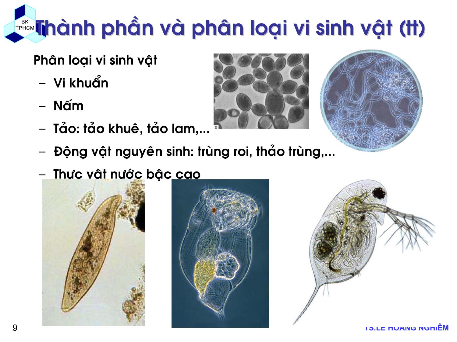 Bài giảng Các quá trình sinh học trong kỹ thuật môi trường - Chương 1: Khái niệm cơ bản về xử lý chất thải bằng phương pháp sinh học - Lê Hoàng Nghiêm trang 9