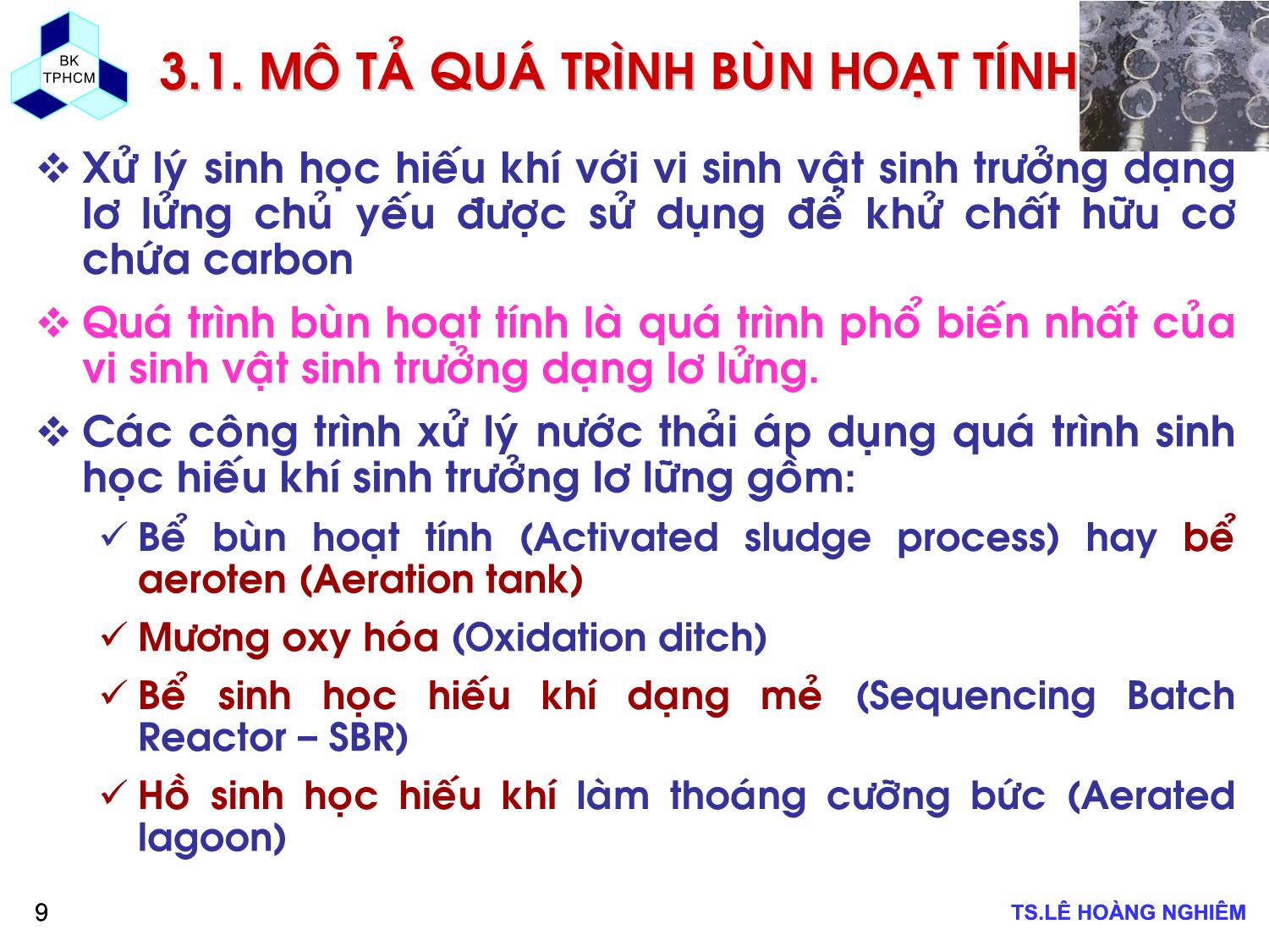 Bài giảng Các quá trình sinh học trong kỹ thuật môi trường - Chương 3: Quá trình bùn hoạt tính - Lê Hoàng Nghiêm trang 9