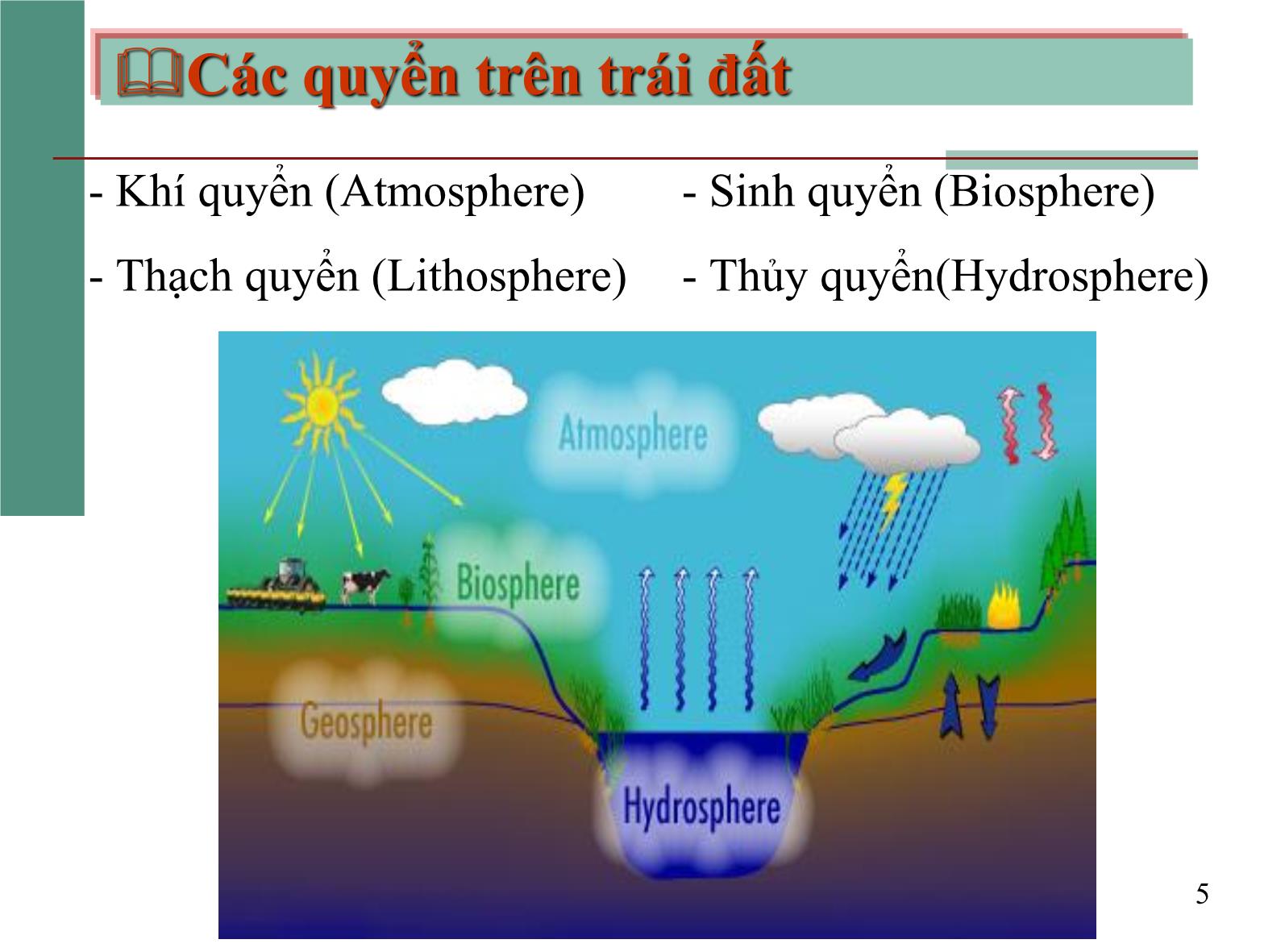 Bài giảng Môi trường và con người - Chương 2: Môi trường, sinh thái và tài nguyên trang 5