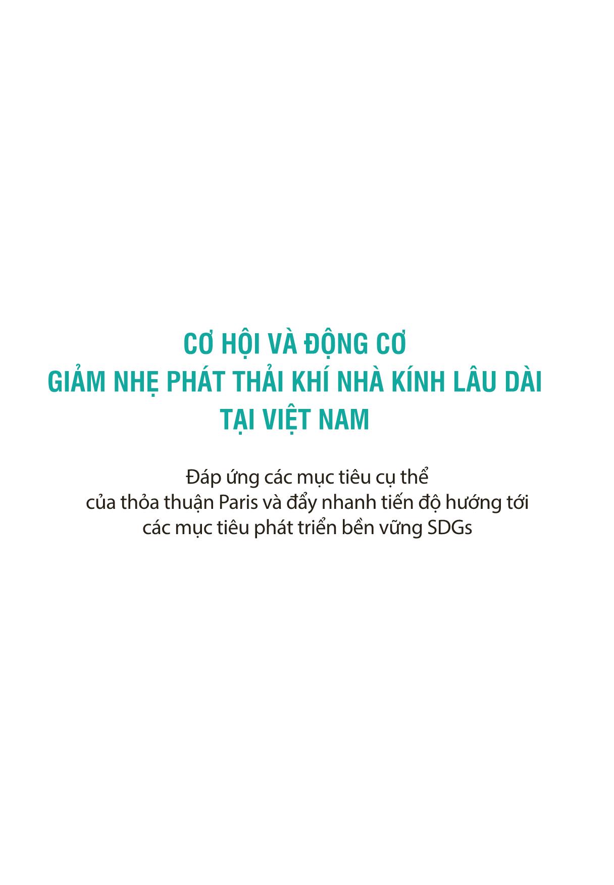 Cơ hội và động cơ giảm nhẹ phát thải khí nhà kính lâu dài tại Việt Nam trang 3