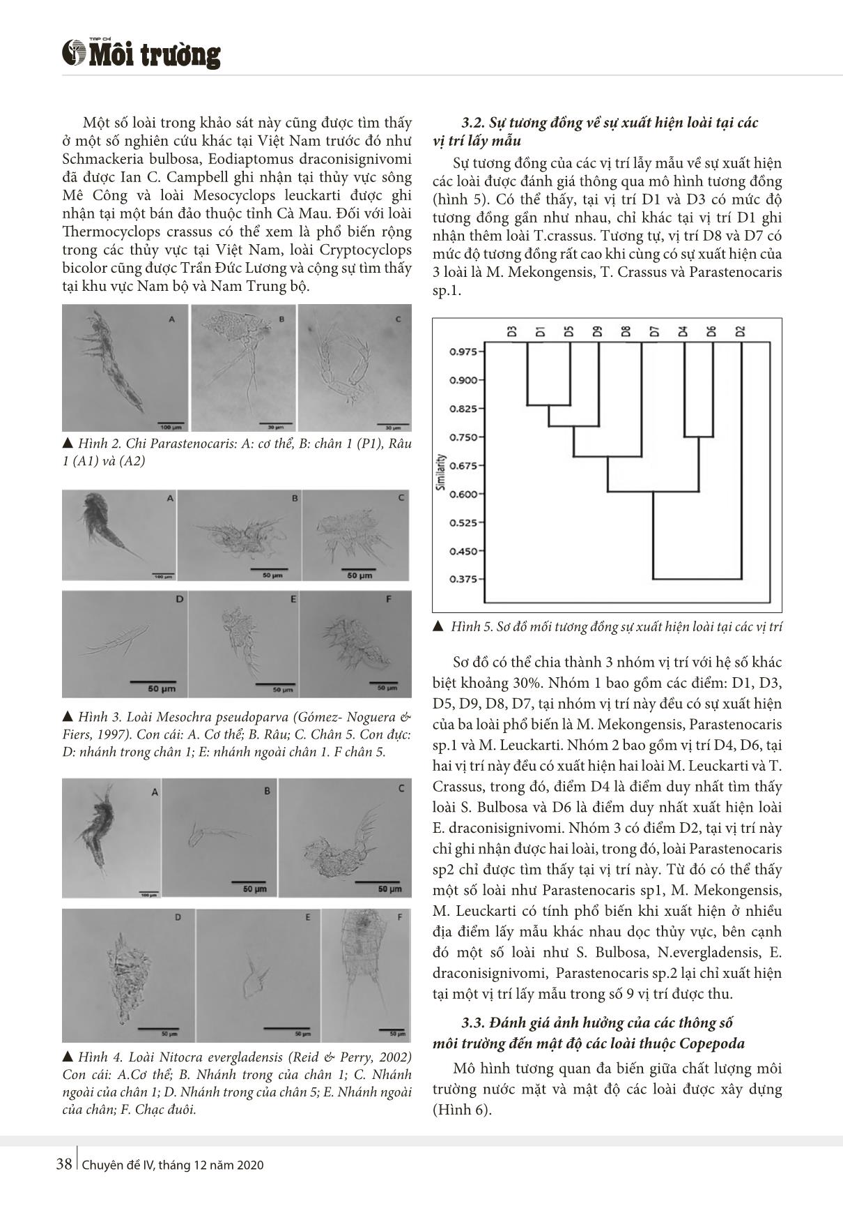 Nghiên cứu thành phần phân lớp giáp xác chân chèo (Copepoda) tại sông Vu Gia - Thu Bồn, Quảng Nam trang 3