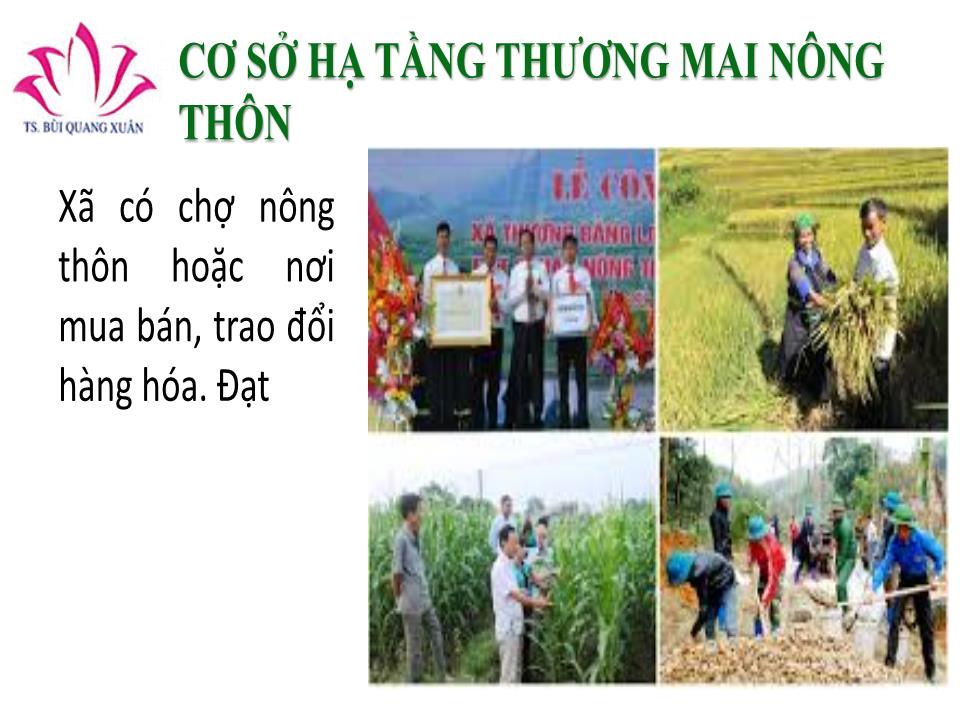 Bài giảng Tiêu chí xã nông thôn mới - Bùi Quang Xuân trang 10