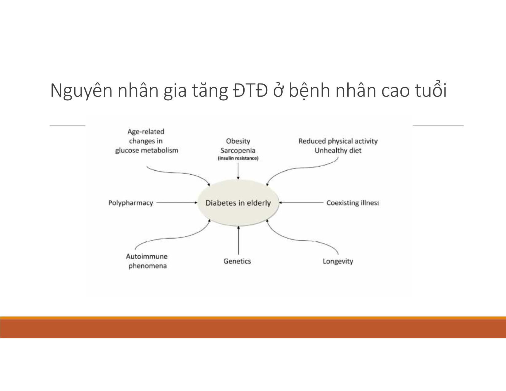 Bài giảng Cập nhật về nhóm thuốc viên mới ở bệnh nhân cao tuổi trang 3