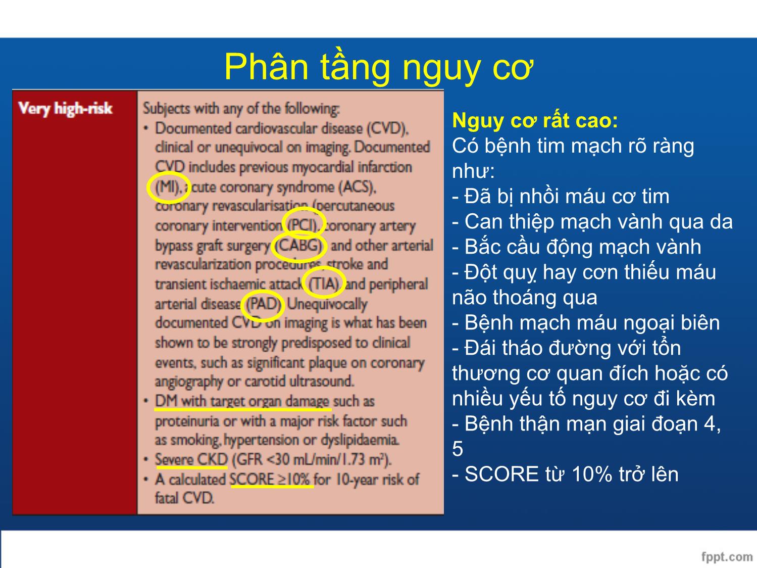 Bài giảng Điều trị rối loạn lipid máu trang 7