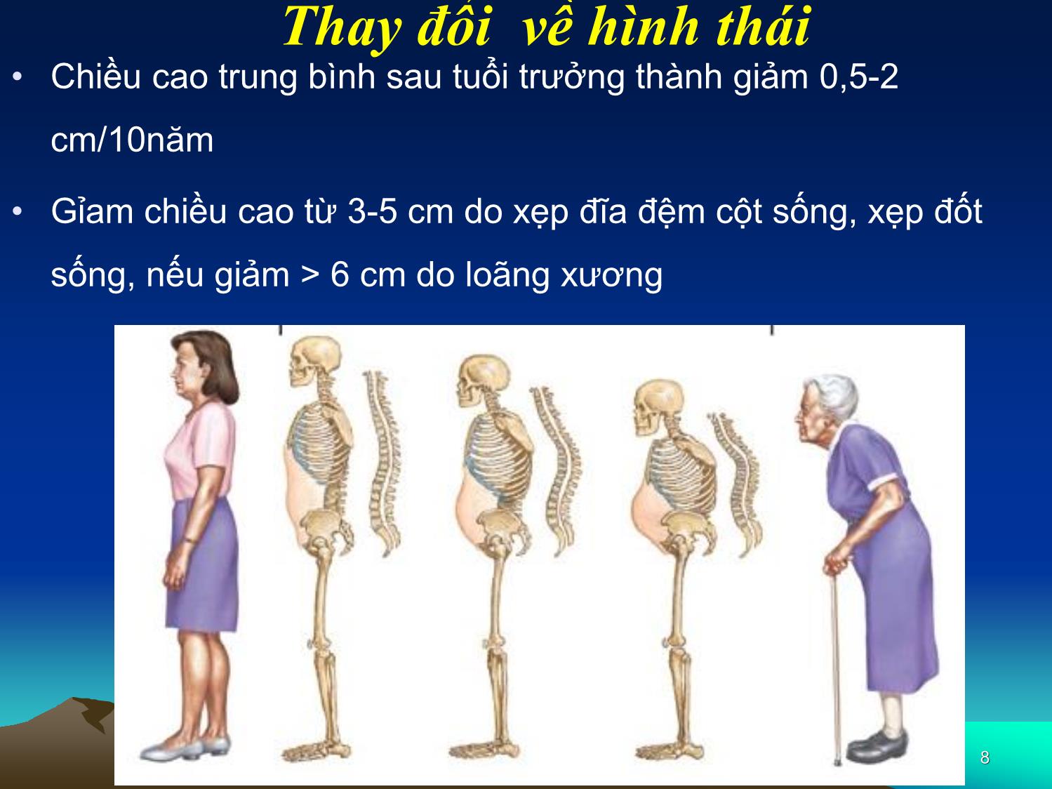 Bài giảng Dinh dưỡng người cao tuổi trang 8