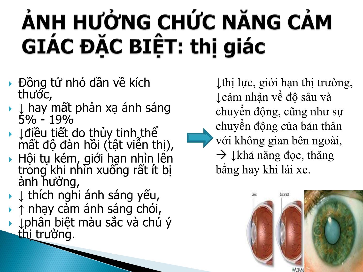 Bài giảng Lão hóa hệ thần kinh trang 10