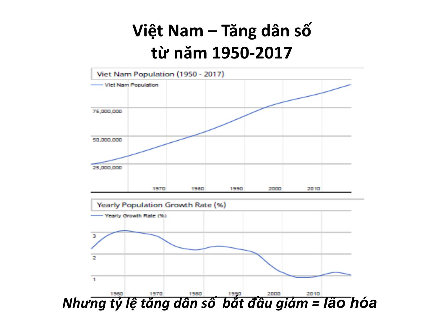 Bài giảng Y tế công cộng và khuyến cáo chăm sóc sức khỏe người cao tuổi trang 10