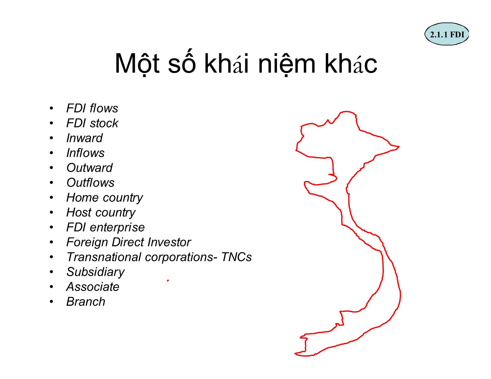 Bài giảng Đầu tư nước ngoài - Chương 2: Phân loại đầu tư nước ngoài - Phan Thị Vân trang 9