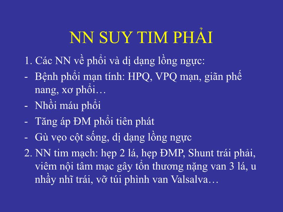 Bài giảng Suy tim ở người cao tuổi (Bản hay) trang 10