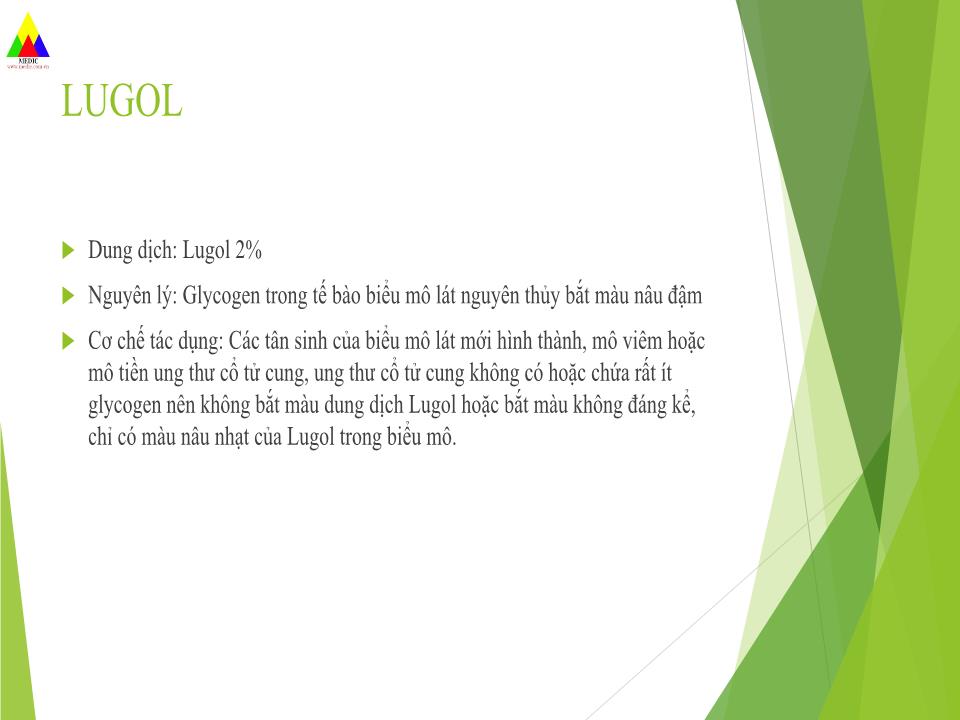 Bài giảng Ứng dụng của acid acetic và lugol trong tầm soát K cổ tử cung trang 4