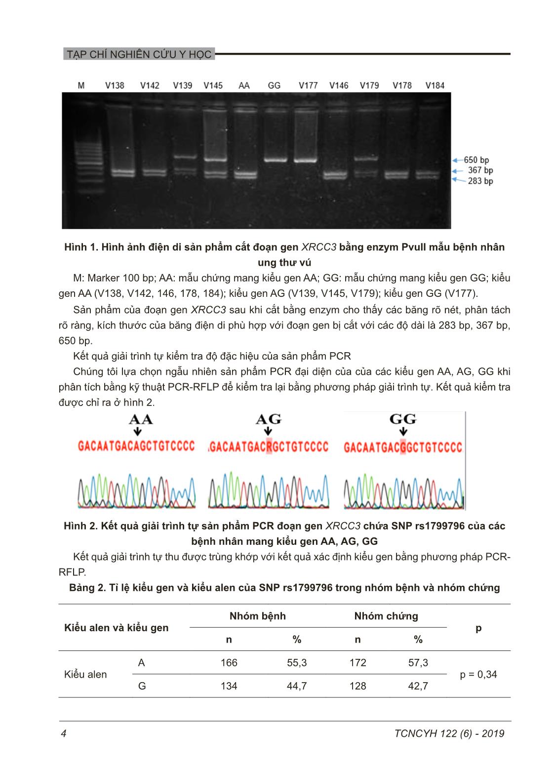 Đa hình đơn nucleotide RS1799796 của gen XRCC3 trong ung thư vú trang 4