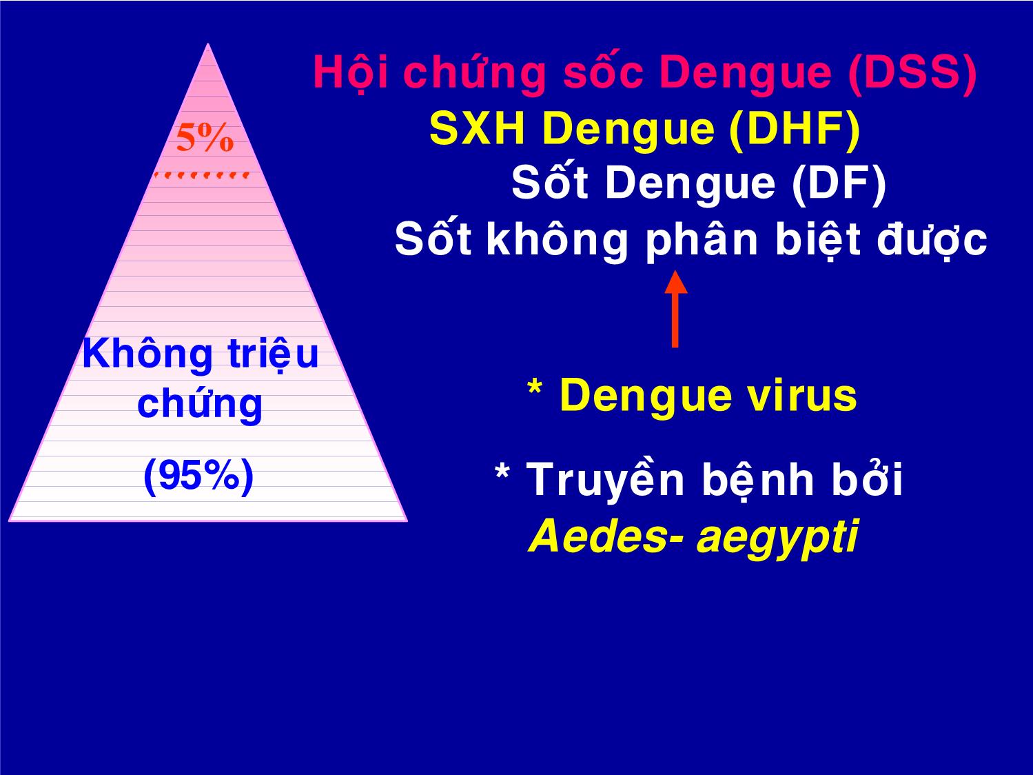 Bài giảng Chẩn đoán và điều trị sốt xuất huyết Dengue ở trẻ em trang 2
