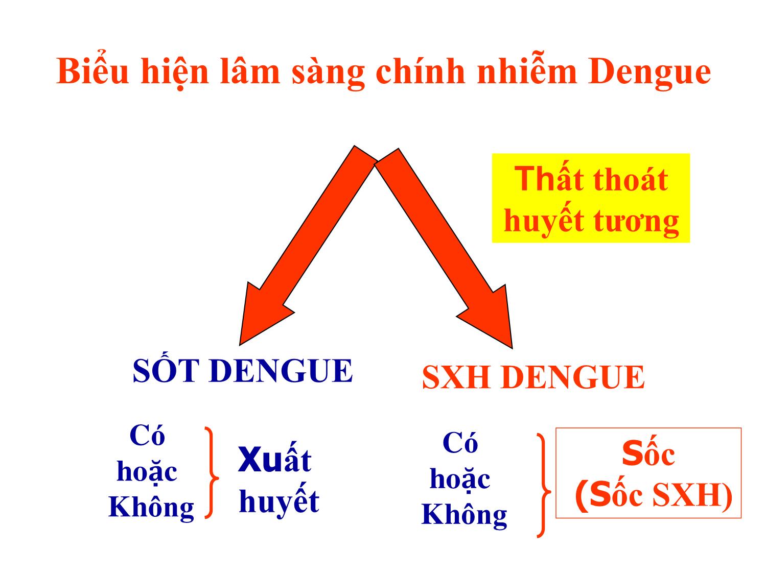 Bài giảng Chẩn đoán và điều trị sốt xuất huyết Dengue ở trẻ em trang 4