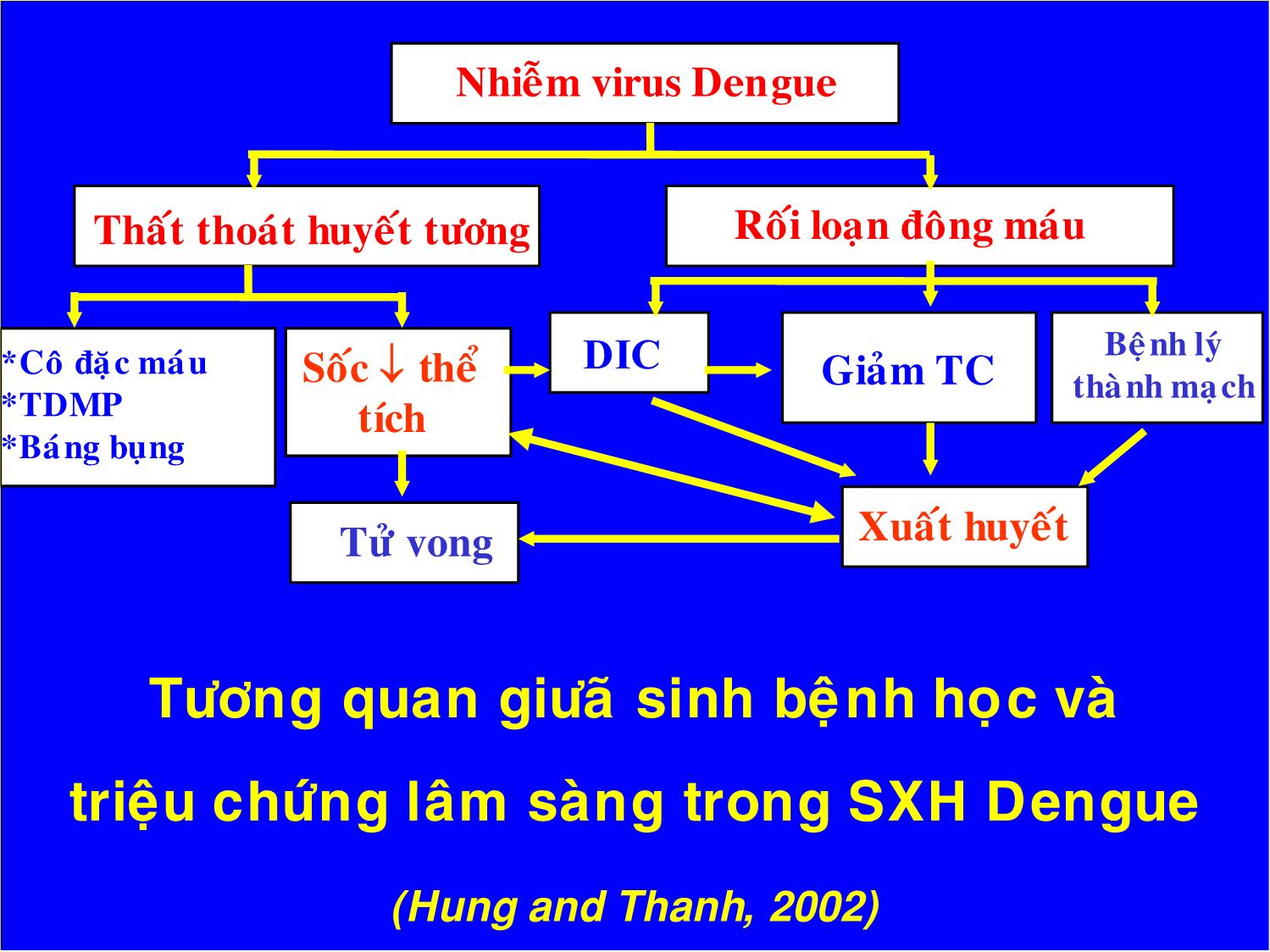 Bài giảng Chẩn đoán và điều trị sốt xuất huyết Dengue ở trẻ em trang 5