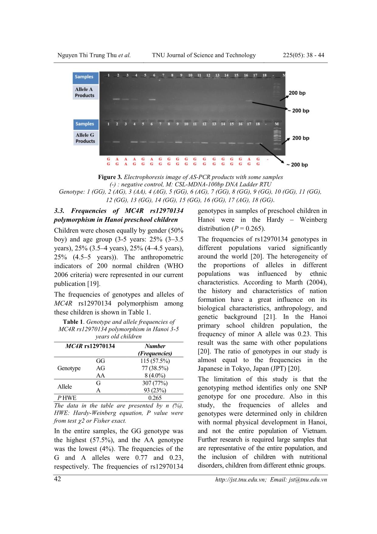 Genotyping method and frequency of single nucleotide polymorphism rs12970134 near melanocortin-4 receptor genotypes in hanoi preschool chidren population trang 5