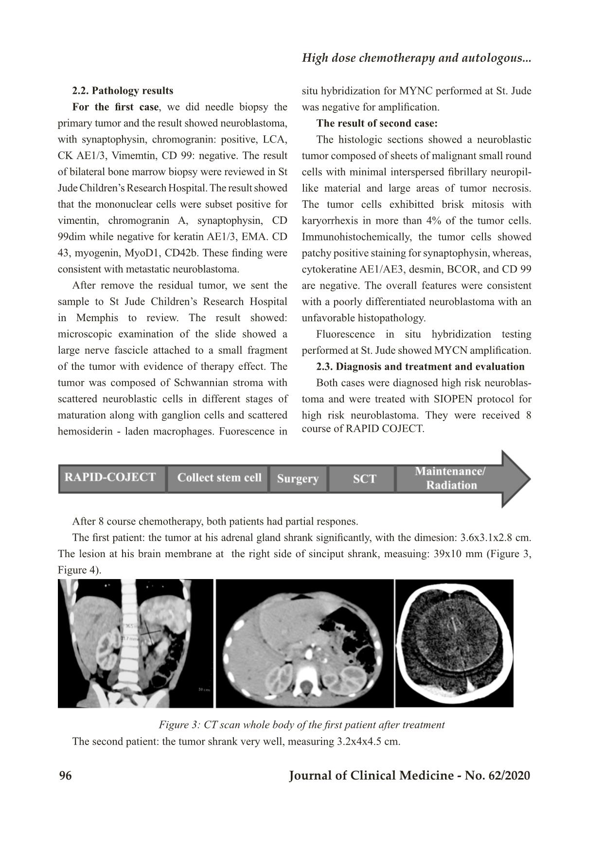 High dose chemotherapy and autologous hematopoietic stem cell rescue for children with high risk neuroblastoma: Two case report trang 3