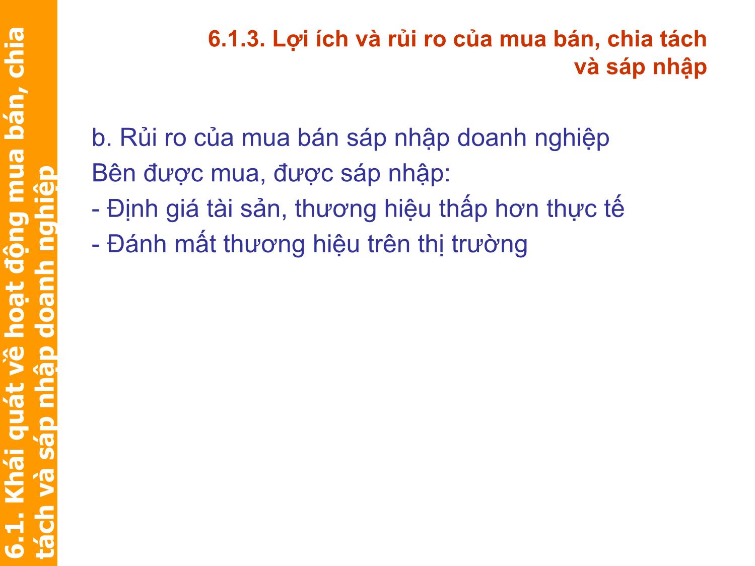 Bài giảng Định giá và chuyển nhượng thương hiệu - Chương 6: Quản trị tài sản thương hiệu trong mua bán, chia tách và sáp nhập doanh nghiệp trang 10