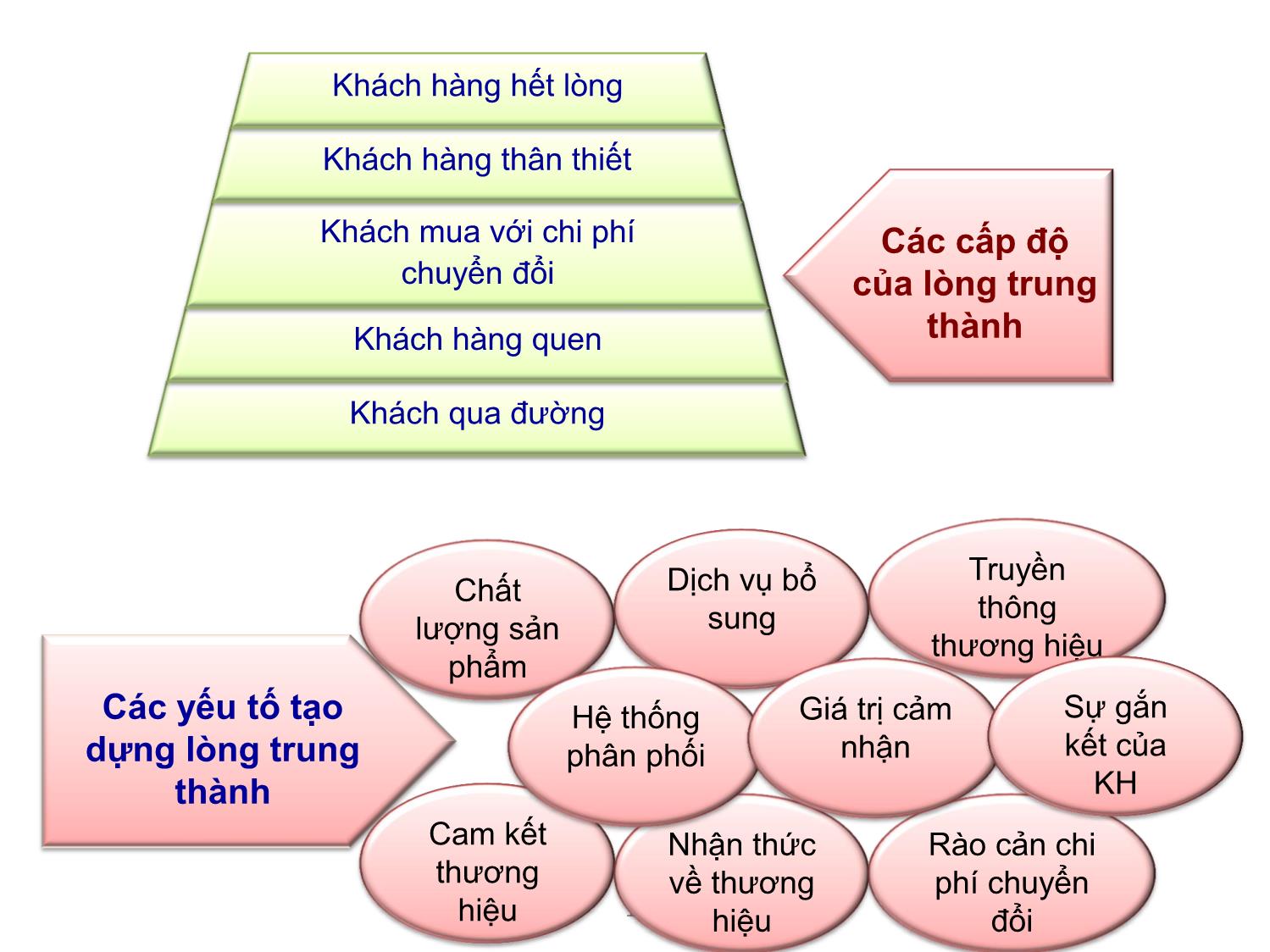 Bài giảng Định giá và chuyển nhượng thương hiệu - Chương 3: Phát triển tài sản thương hiệu trang 10