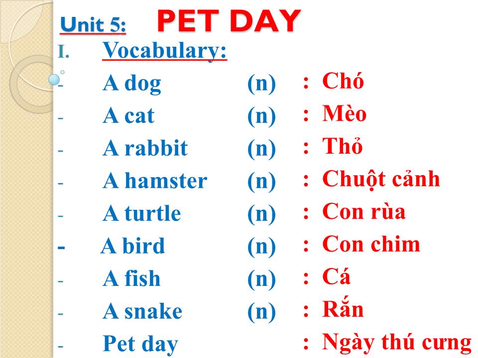 Bài giảng Tiếng Anh Lớp 4 - Unit 5: Pet day trang 10