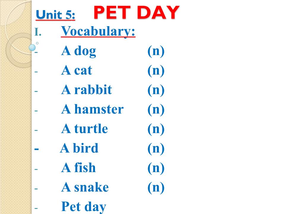 Bài giảng Tiếng Anh Lớp 4 - Unit 5: Pet day trang 1