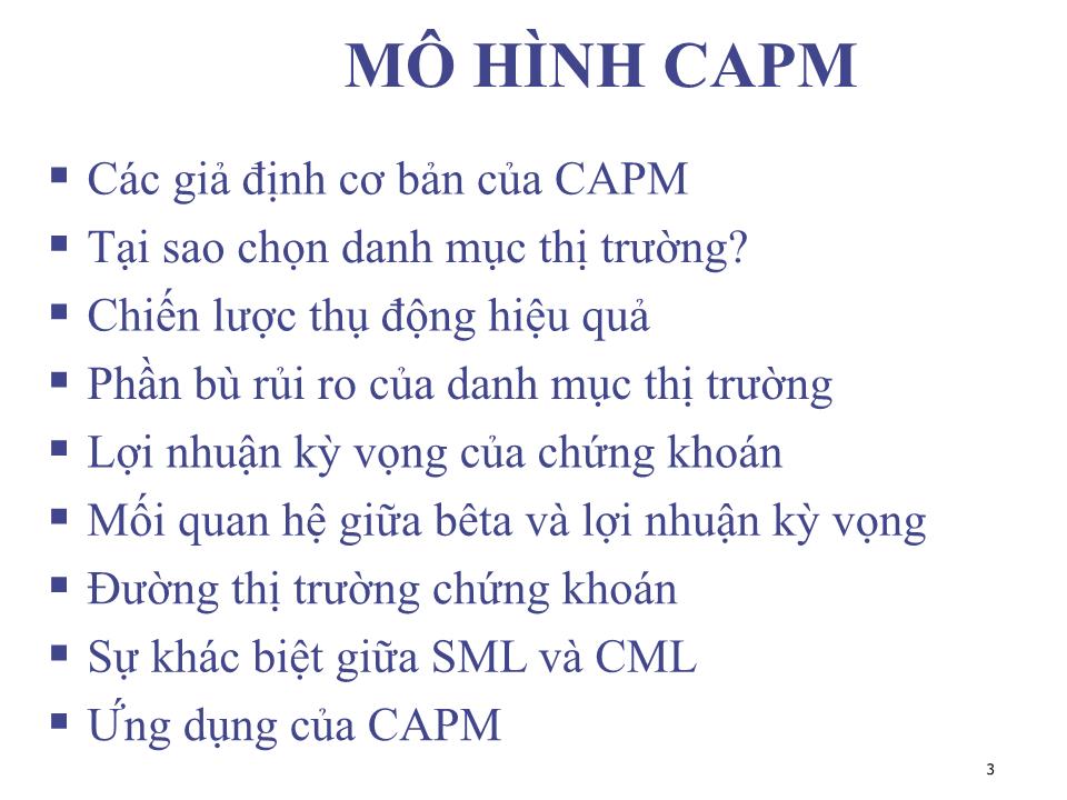 Bài giảng Đầu tư tài chính - Chương 5: Mô hình định giá tài sản vốn - Phạm Hữu Hồng Thái trang 3