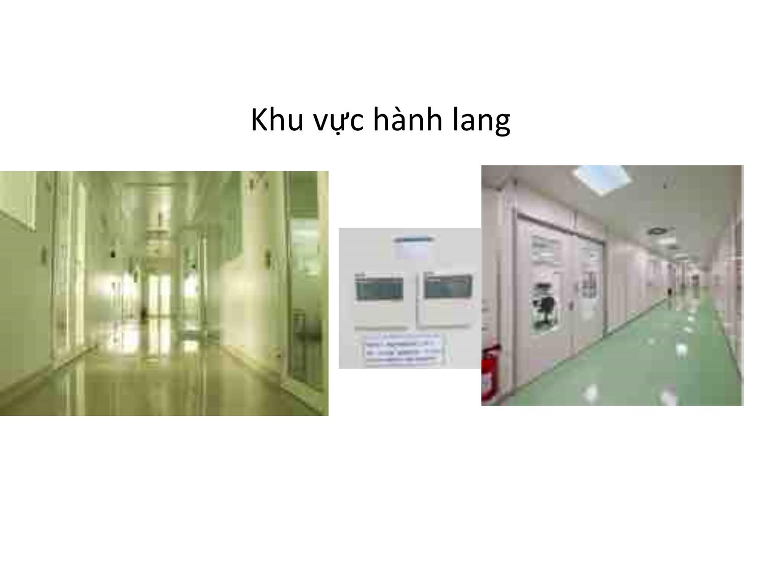 Bài giảng Nuôi cấy tế bào động vật: Kỹ thuật và ứng dụng - Vũ Bích Ngọc trang 10