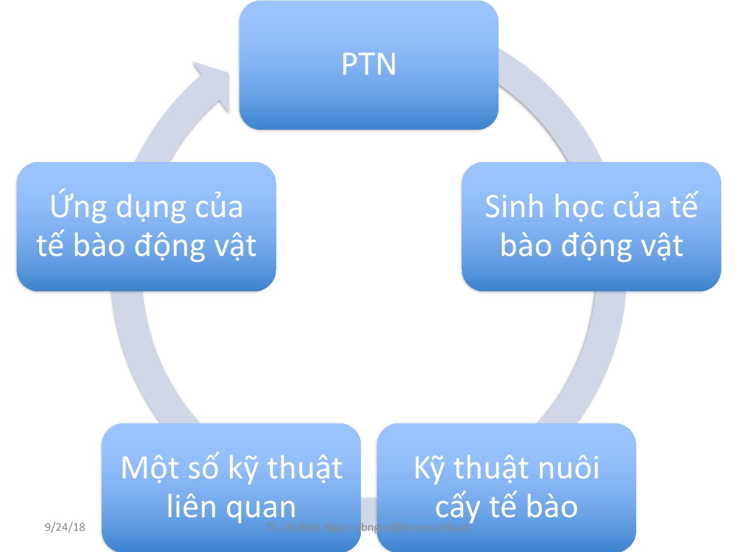 Bài giảng Nuôi cấy tế bào động vật: Kỹ thuật và ứng dụng - Vũ Bích Ngọc trang 5