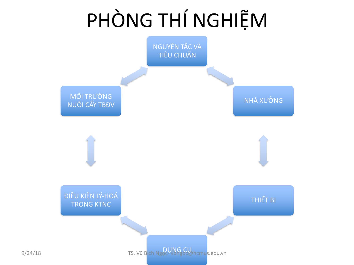 Bài giảng Nuôi cấy tế bào động vật: Kỹ thuật và ứng dụng - Vũ Bích Ngọc trang 6