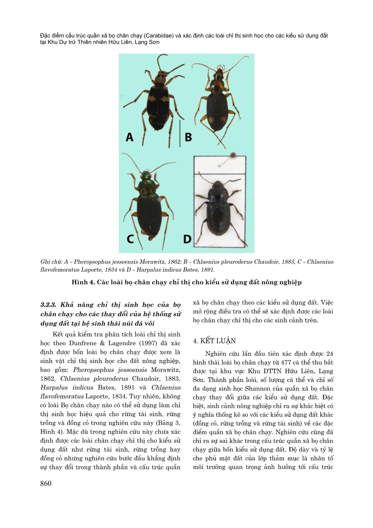 Đặc điểm cấu trúc quần xã bọ chân chạy (Carabidae) và xác định các loài chỉ thị sinh học cho các kiểu sử dụng đất tại khu dự trữ thiên nhiên Hữu Liên, Lạng Sơn trang 8