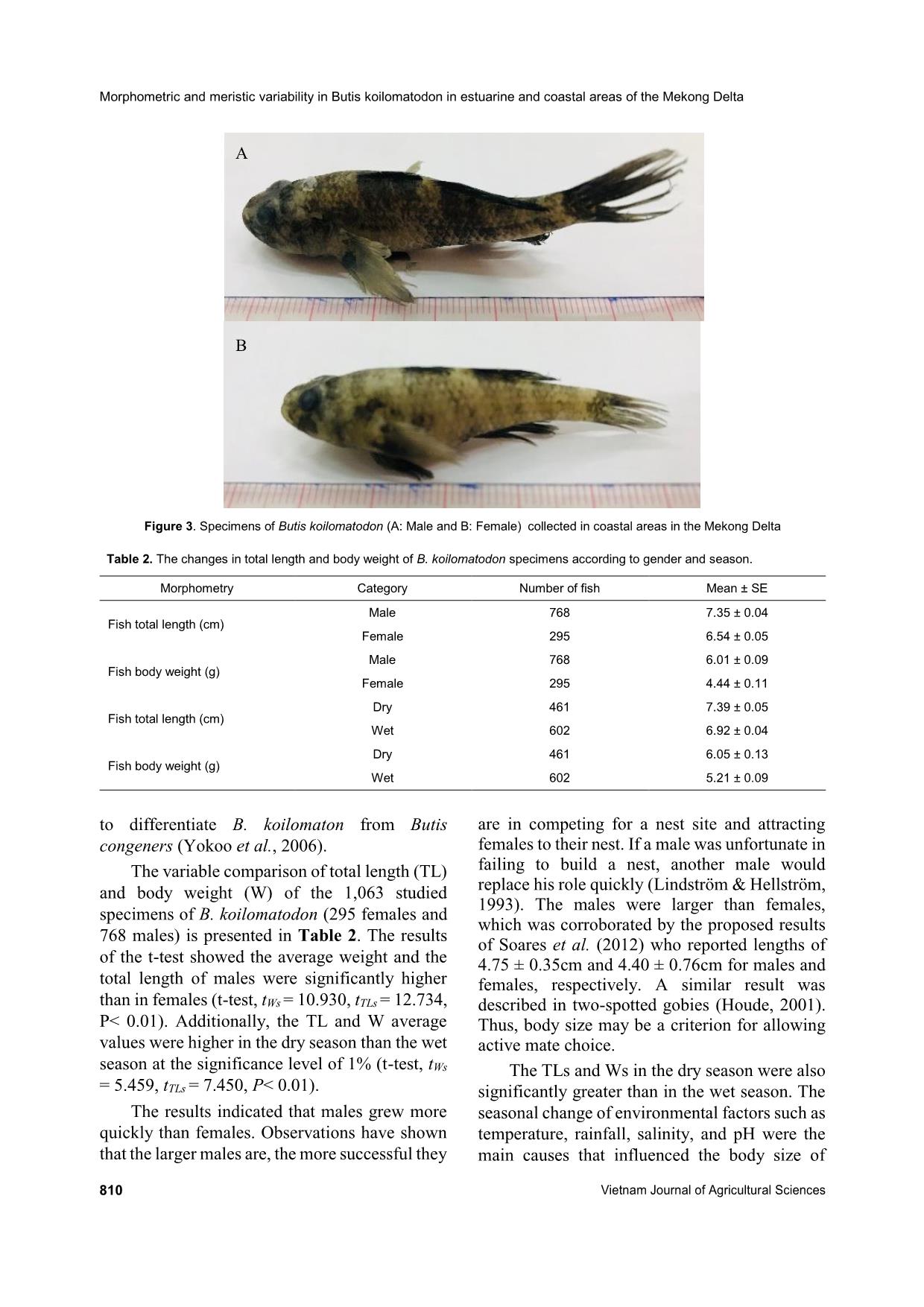 Morphometric and meristic variability in butis koilomatodon (gobiiformes: eleotridae) in estuarine and coastal areas of the Mekong delta trang 5