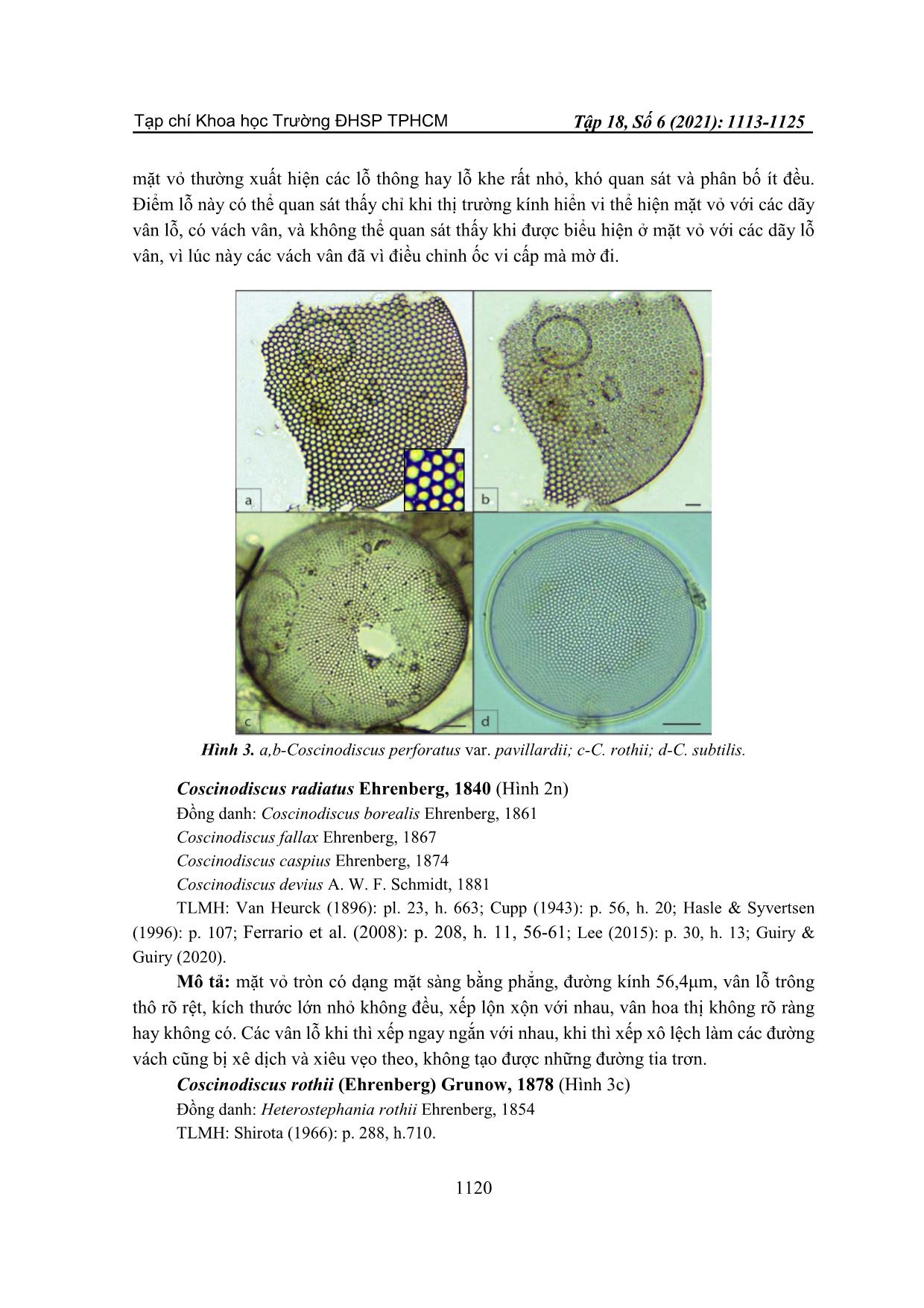 Nhận diện khuê tảo trung tâm coscinodiscus tại ven biển cửa sông Đông Hải, huyện Duyên Hải, tỉnh Trà Vinh trang 8