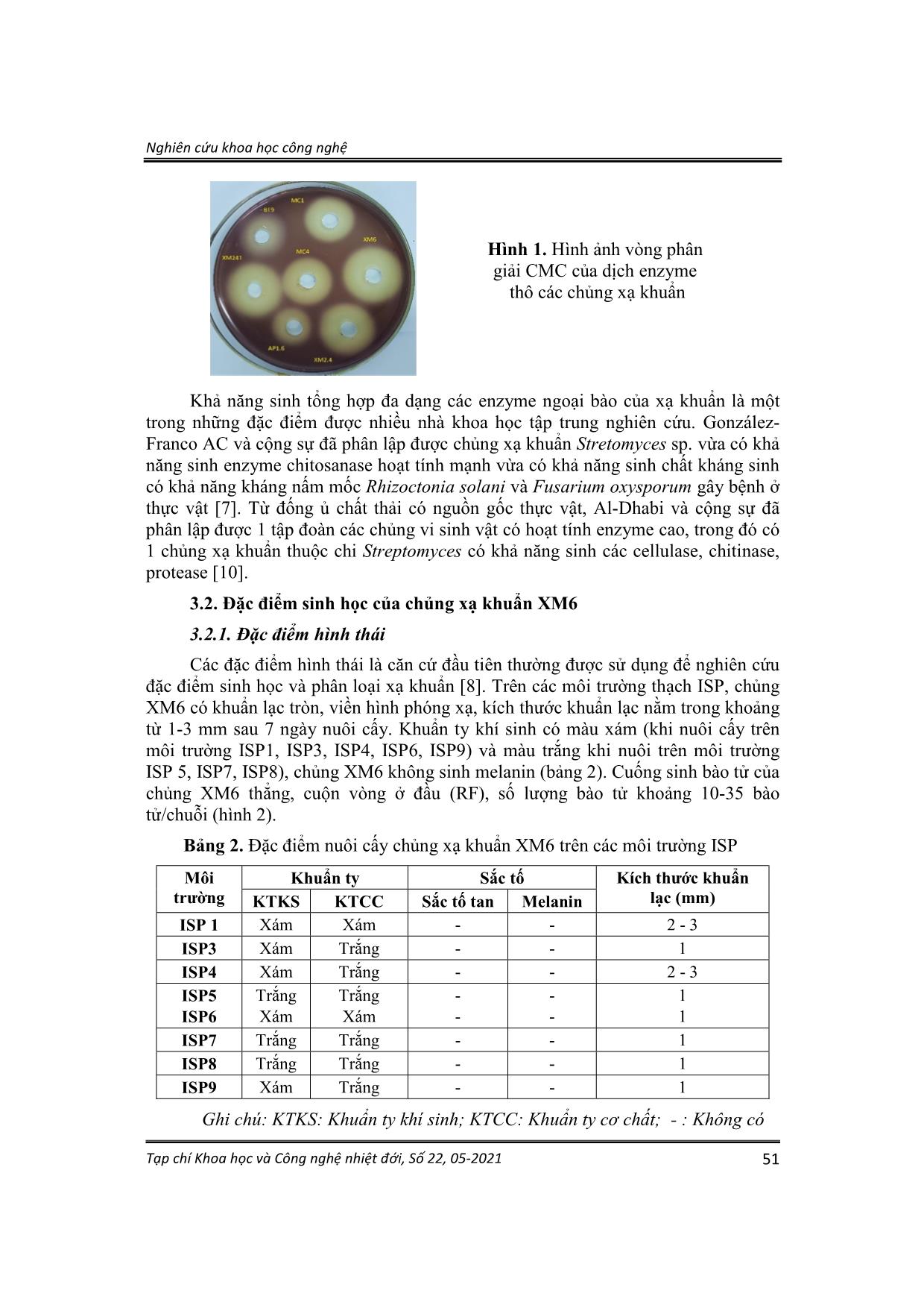 Tuyển chọn và định danh chủng xạ khuẩn ưa nhiệt có hoạt tính Cellulase trang 4