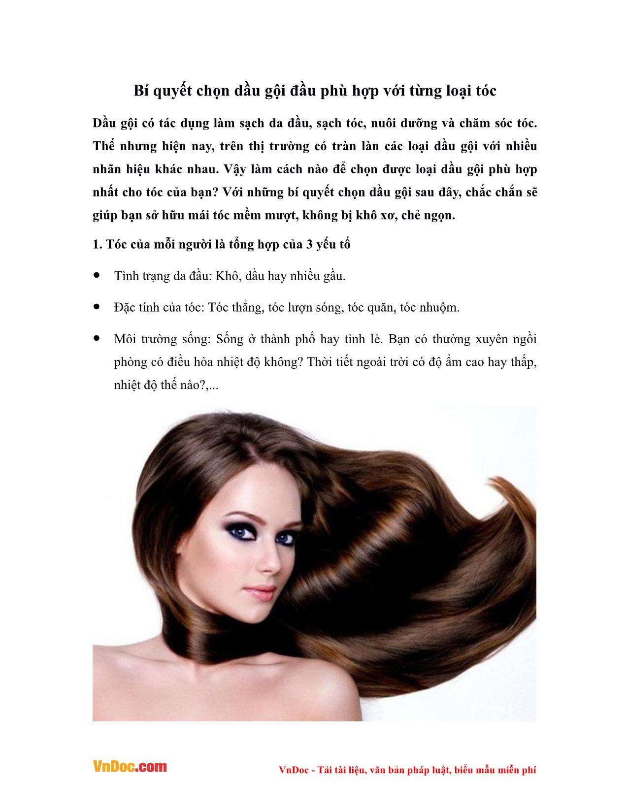 Bí quyết chọn dầu gội đầu phù hợp với từng loại tóc trang 1