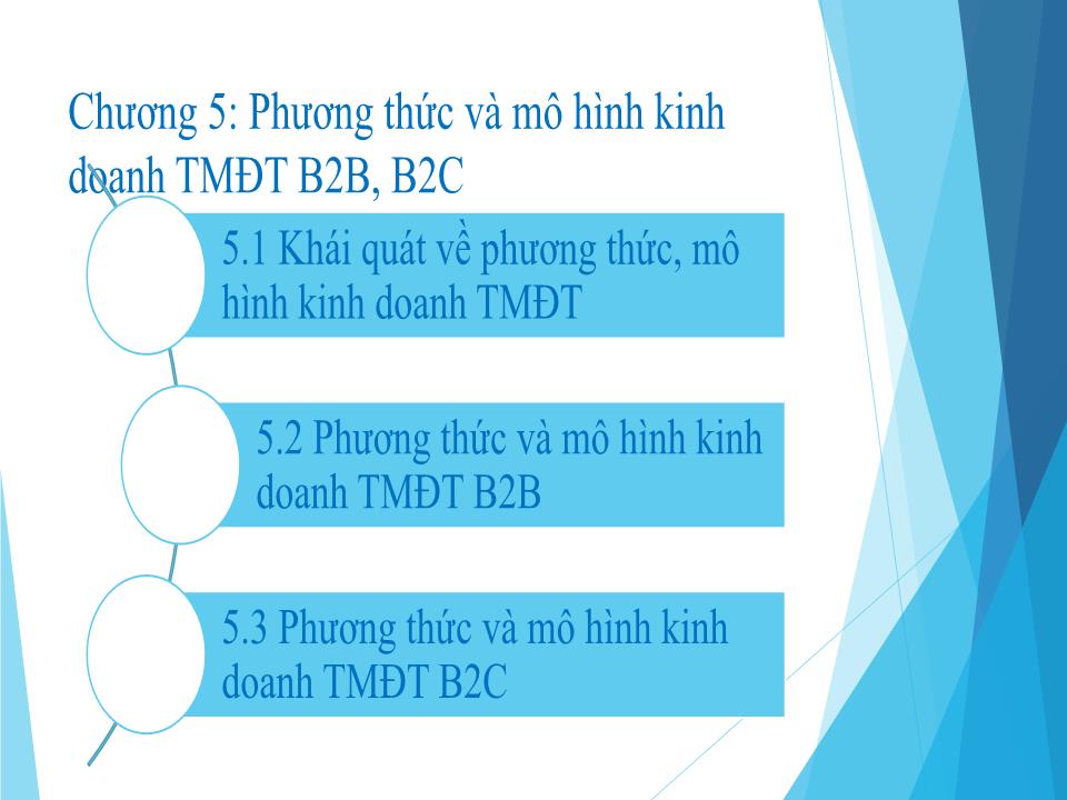 Bài giảng môn Thương mại điện tử - Chương 5: Phương thức và mô hình kinh doanh thương mại điện tử B2B, B2C trang 2