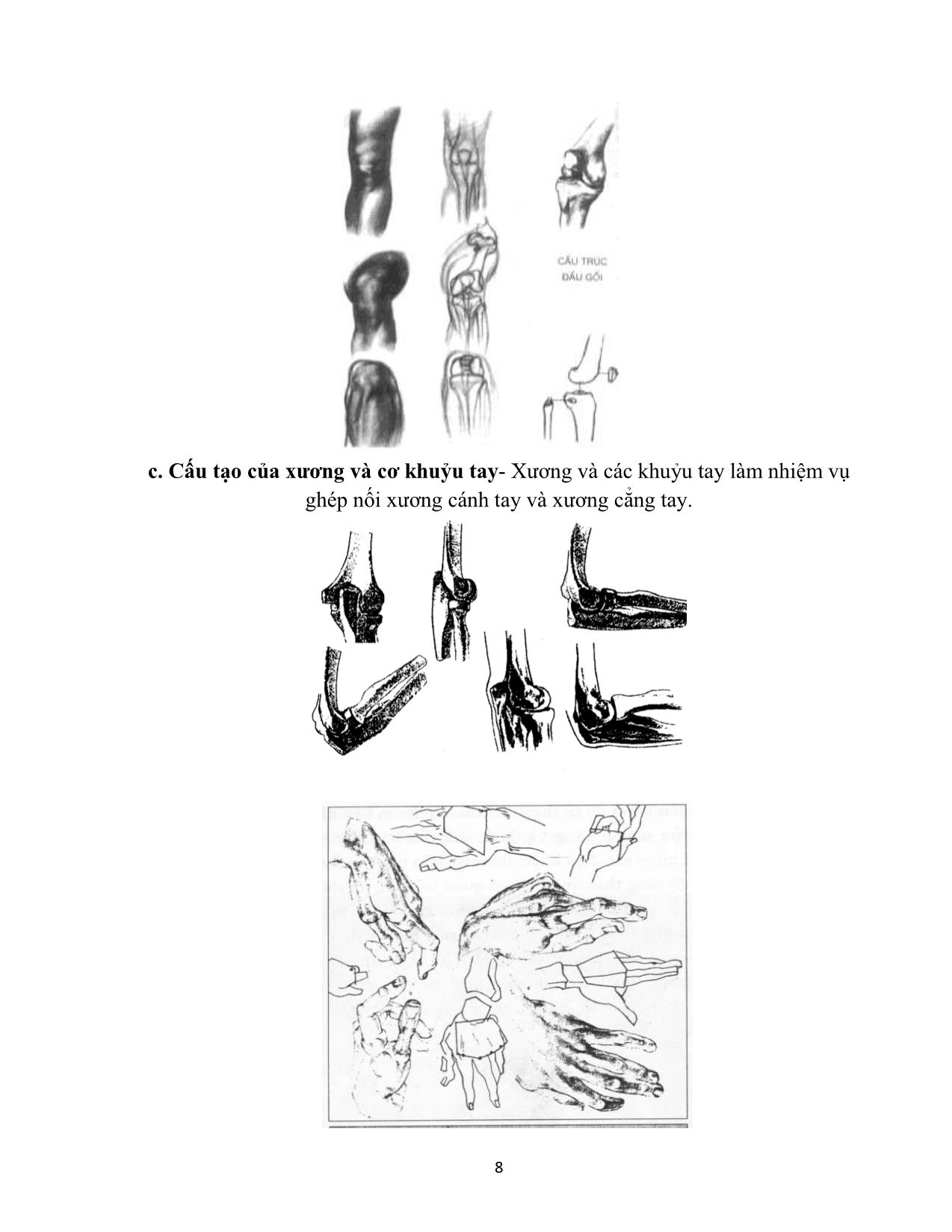 Giáo trình Hội họa - Vẽ hình họa toàn thân người thật trang 8