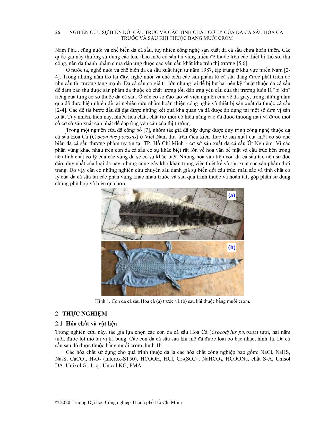 Nghiên cứu sự biến đổi cấu trúc và các tính chất cơ lý của da cá sấu hoa cà trước và sau khi thuộc bằng muối Crom trang 2