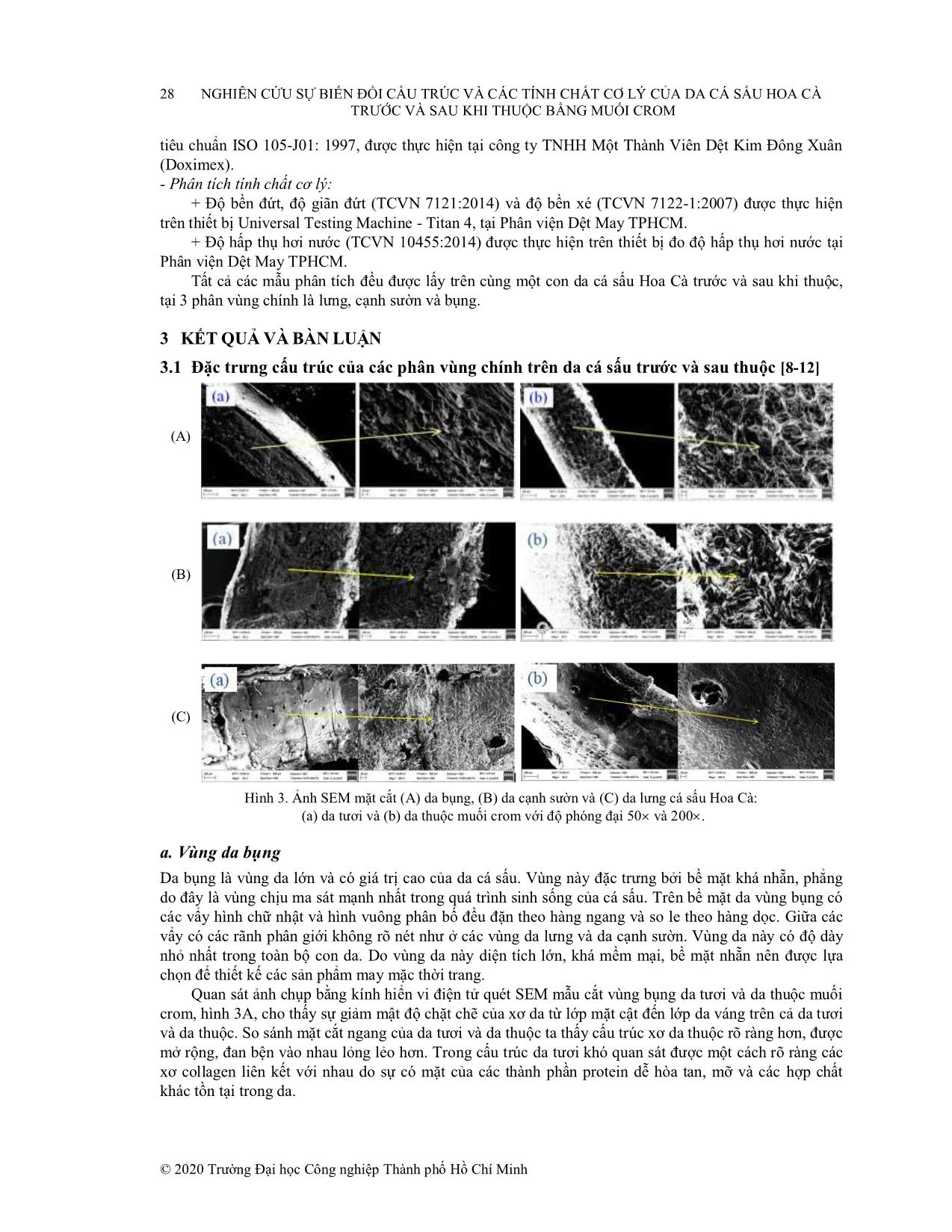 Nghiên cứu sự biến đổi cấu trúc và các tính chất cơ lý của da cá sấu hoa cà trước và sau khi thuộc bằng muối Crom trang 4
