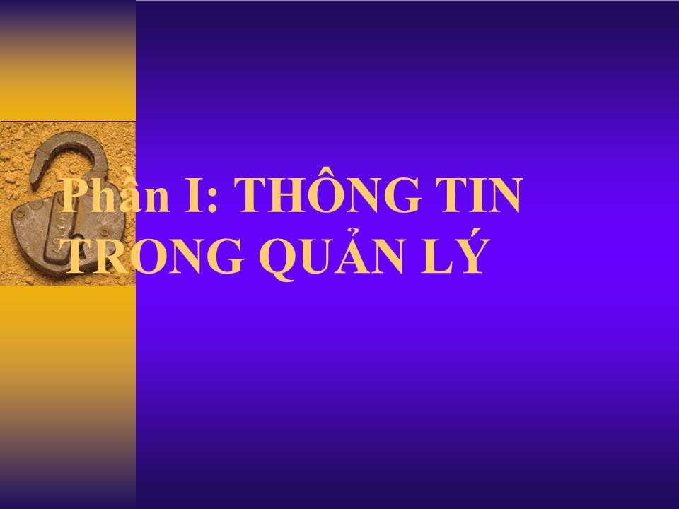 Bài giảng Thông tin trong quản lý trang 2