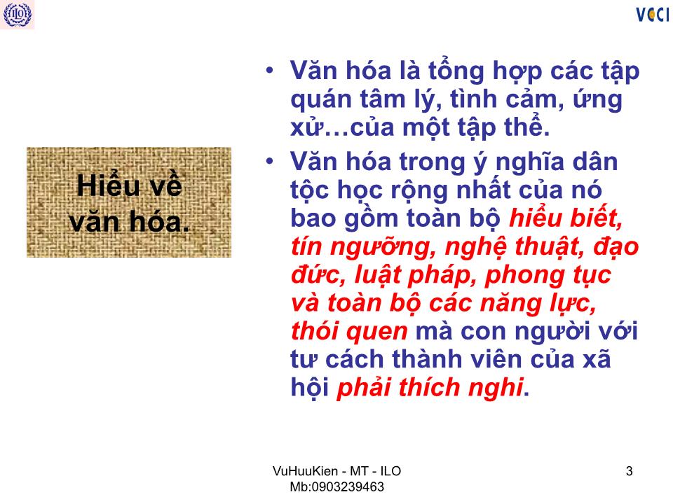 Bài giảng Văn hóa doanh nghiệp - Vũ Hữu Kiên trang 3